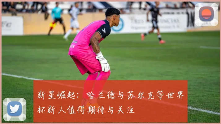新星崛起：哈兰德与苏尔克等世界杯新人值得期待与关注